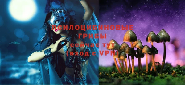 шишки Инсар